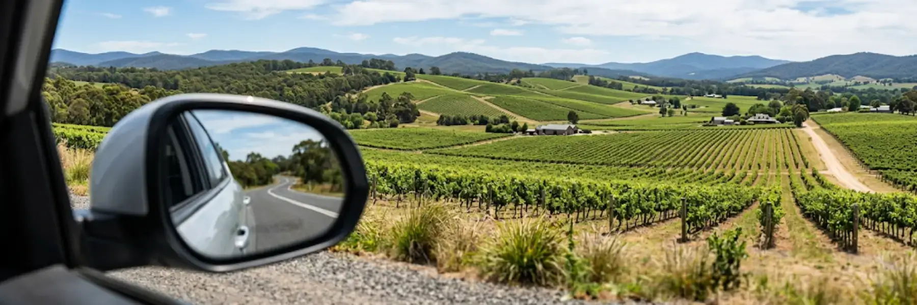 Enjoy Car Rental in vineyard in the Yarra Valley with rolling hills and rows of grapevines