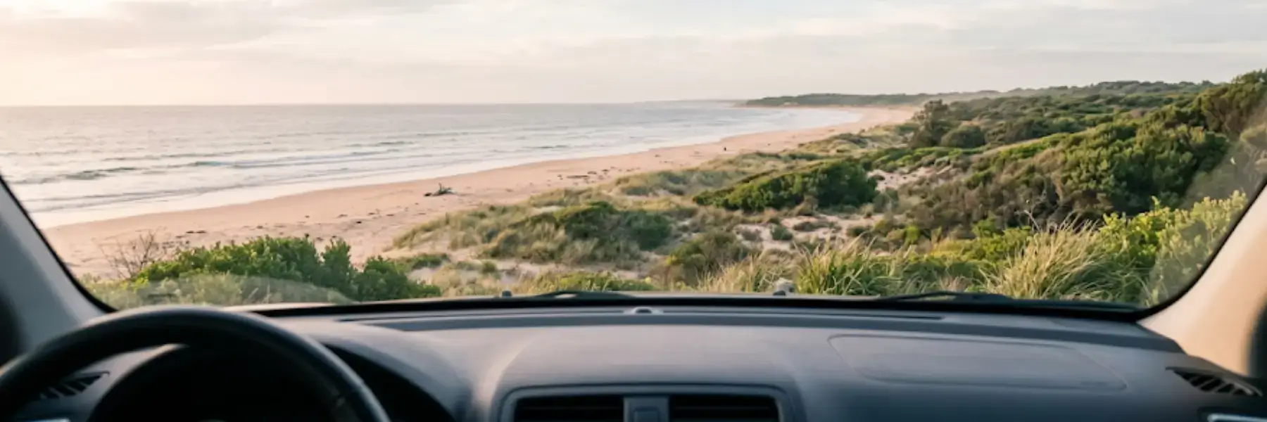 beach and coastal scrub