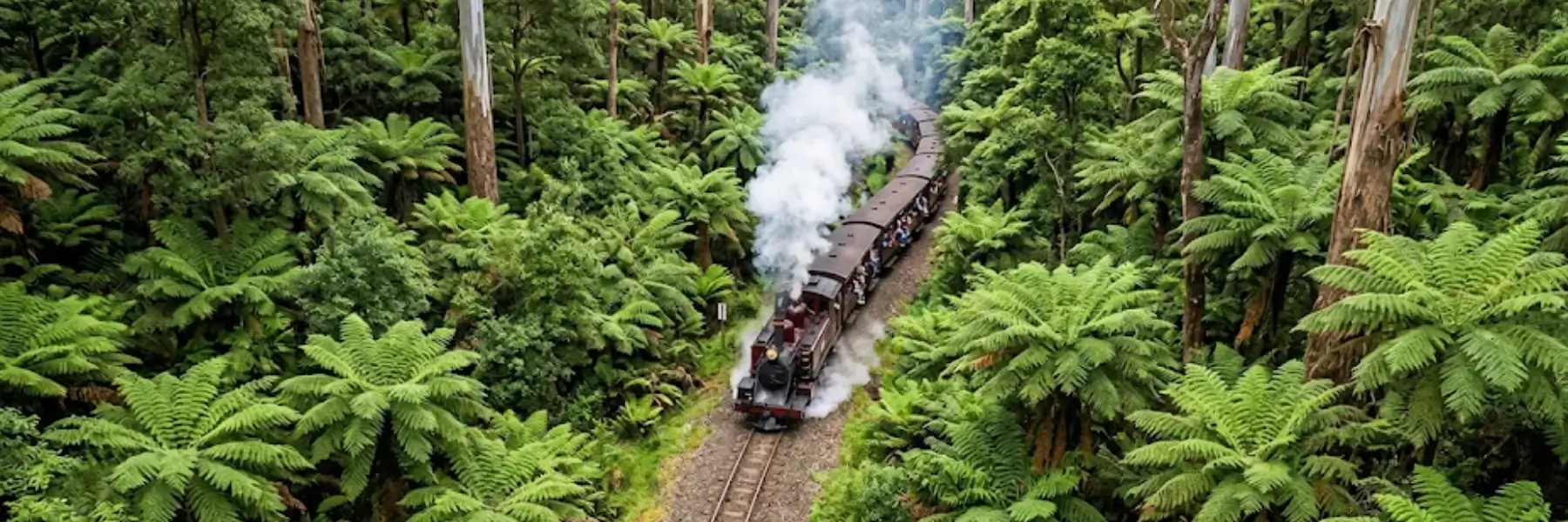 Puffing Billy steam train